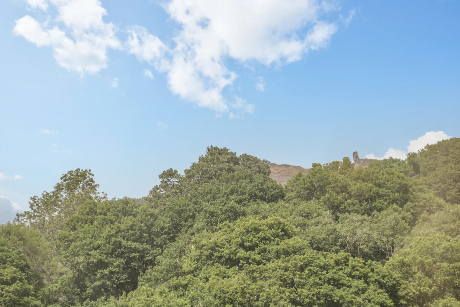 Property image 3 for SC1079552