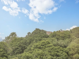 Property image 3 for SC1079552