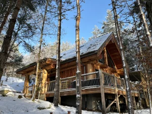 Pine Marten Lodge