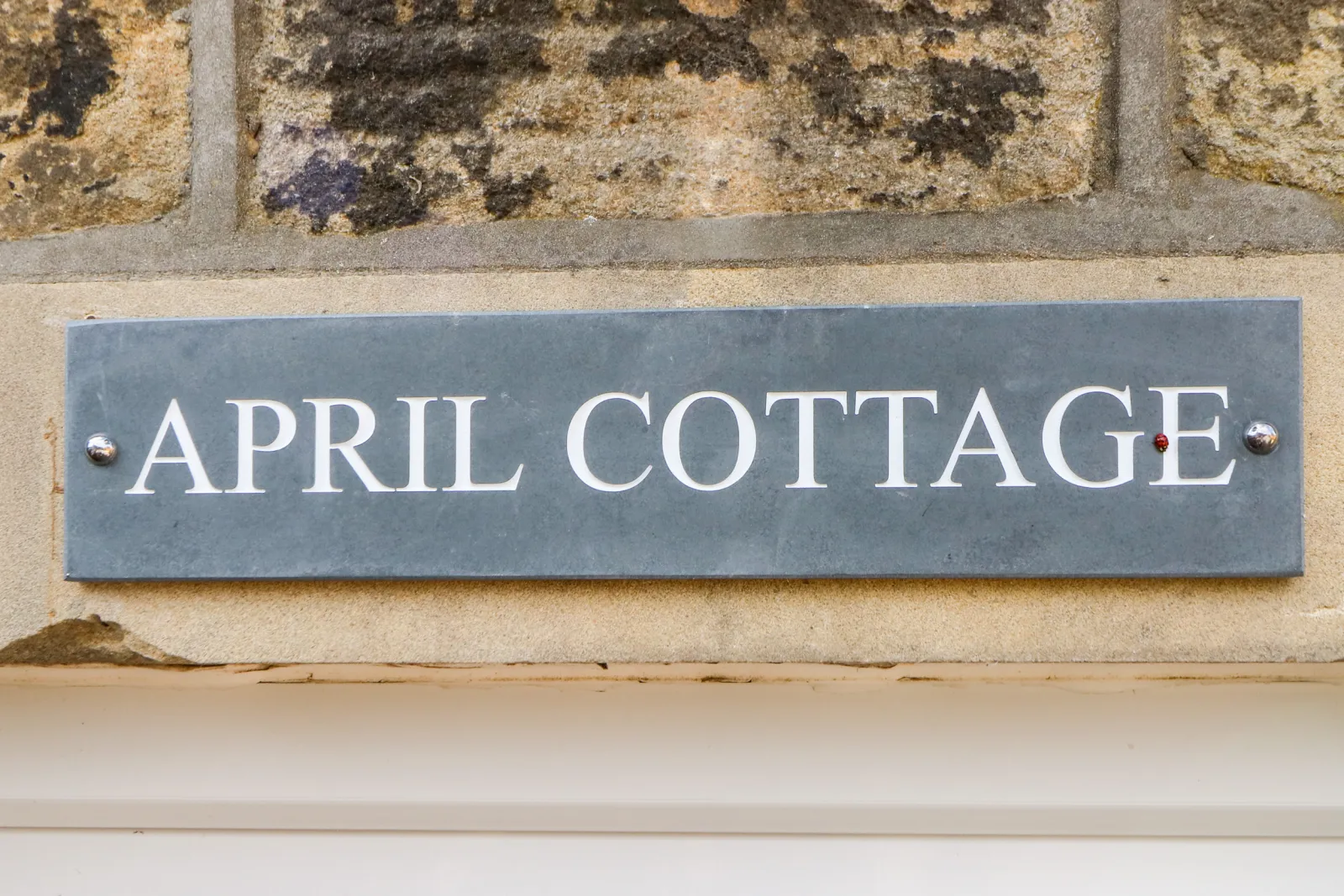 Property image 3 for SC1091057