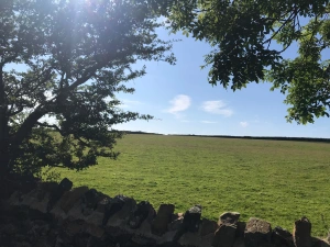 Property image 2 for SC1095237