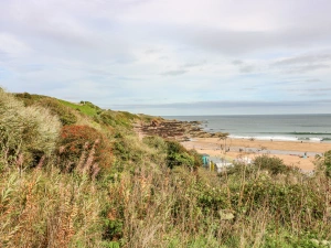 Property image 2 for SC1095411
