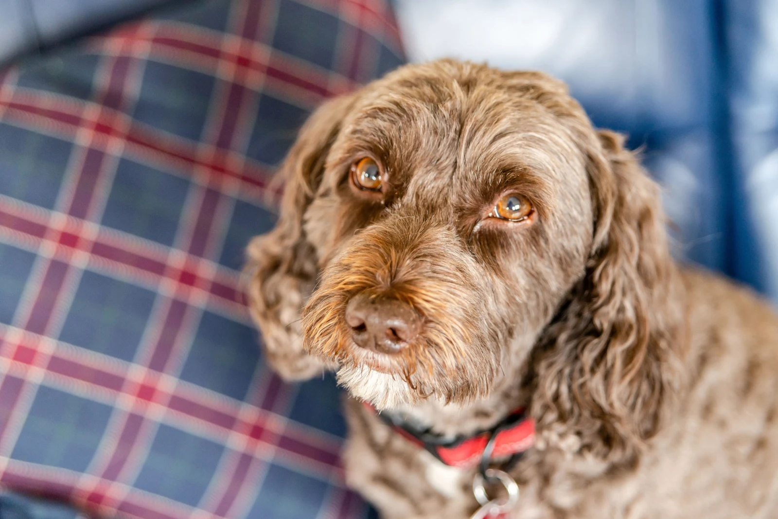 Property image 4 for SC1096952