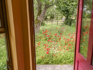 Property image 3 for SC1097294