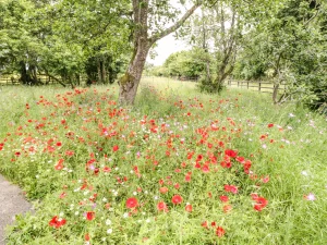 Property image 4 for SC1097294