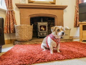 Property image 8 for SC1098898