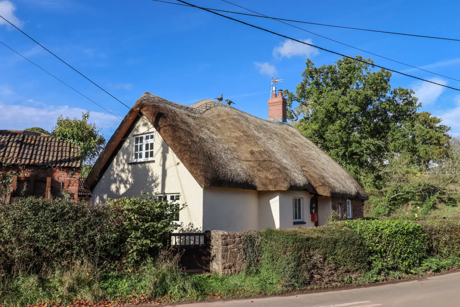 Property image 2 for SC1101128