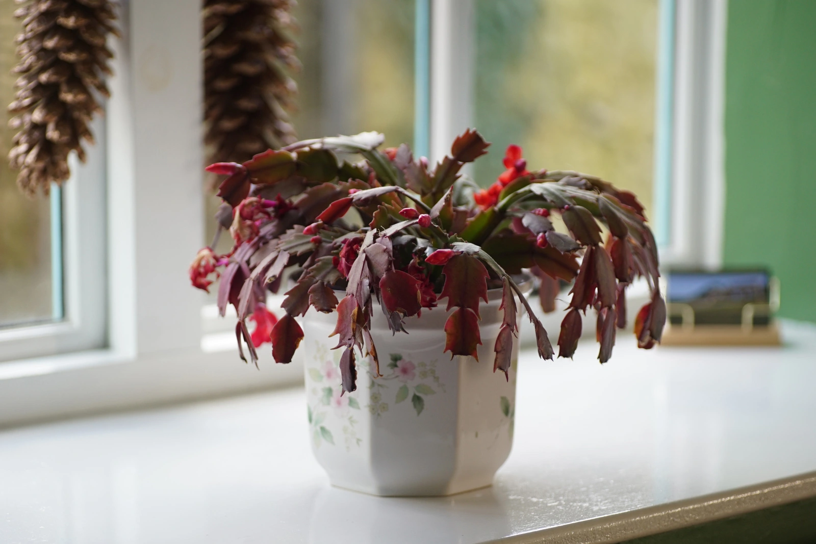Property image 6 for SC1102966