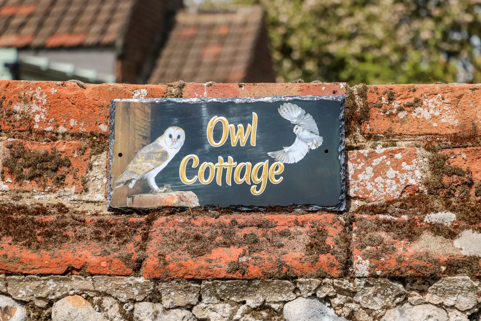 Property image 3 for SC1104739
