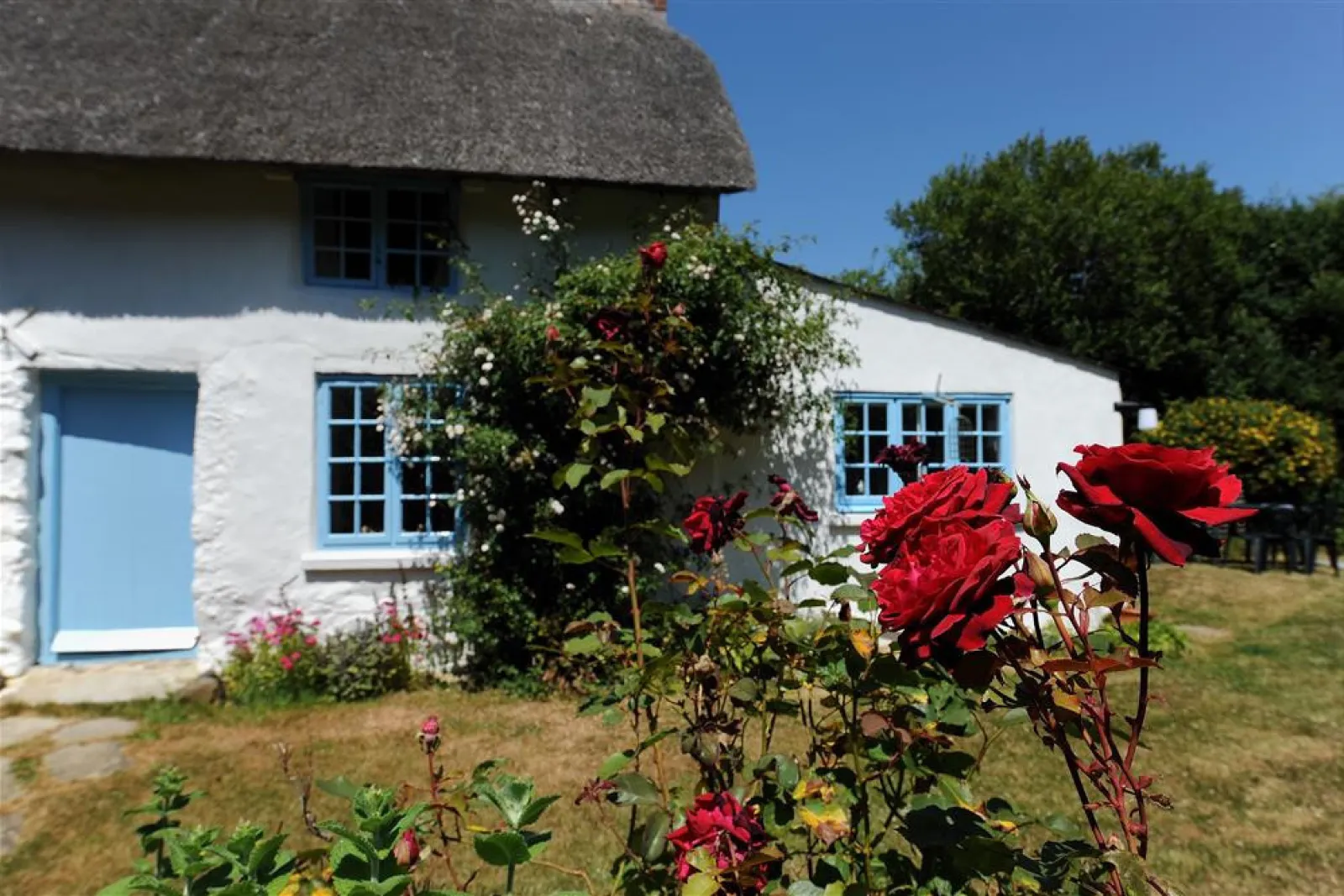 Property image 6 for SC1106344