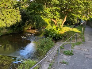 Property image 3 for SC1106524