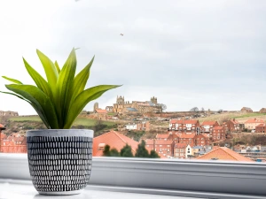 Property image 8 for SC1108531