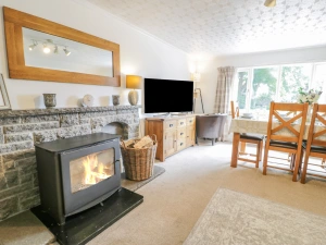 Property image 3 for SC1109350