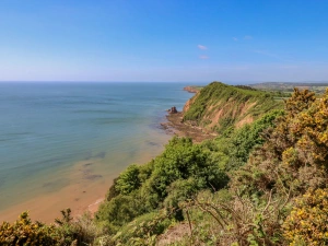 Property image 3 for SC1110573