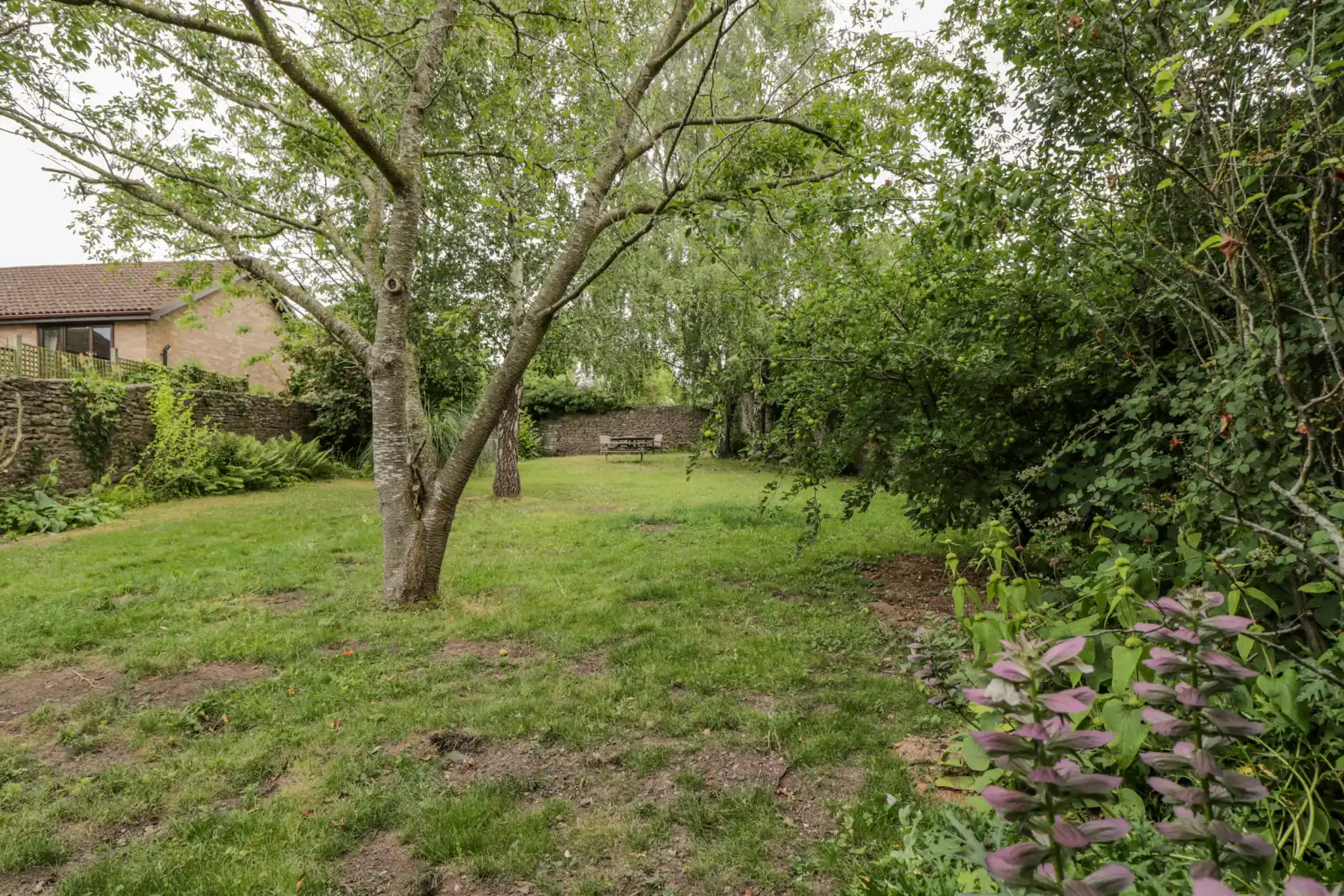 Property image 2 for SC1112347