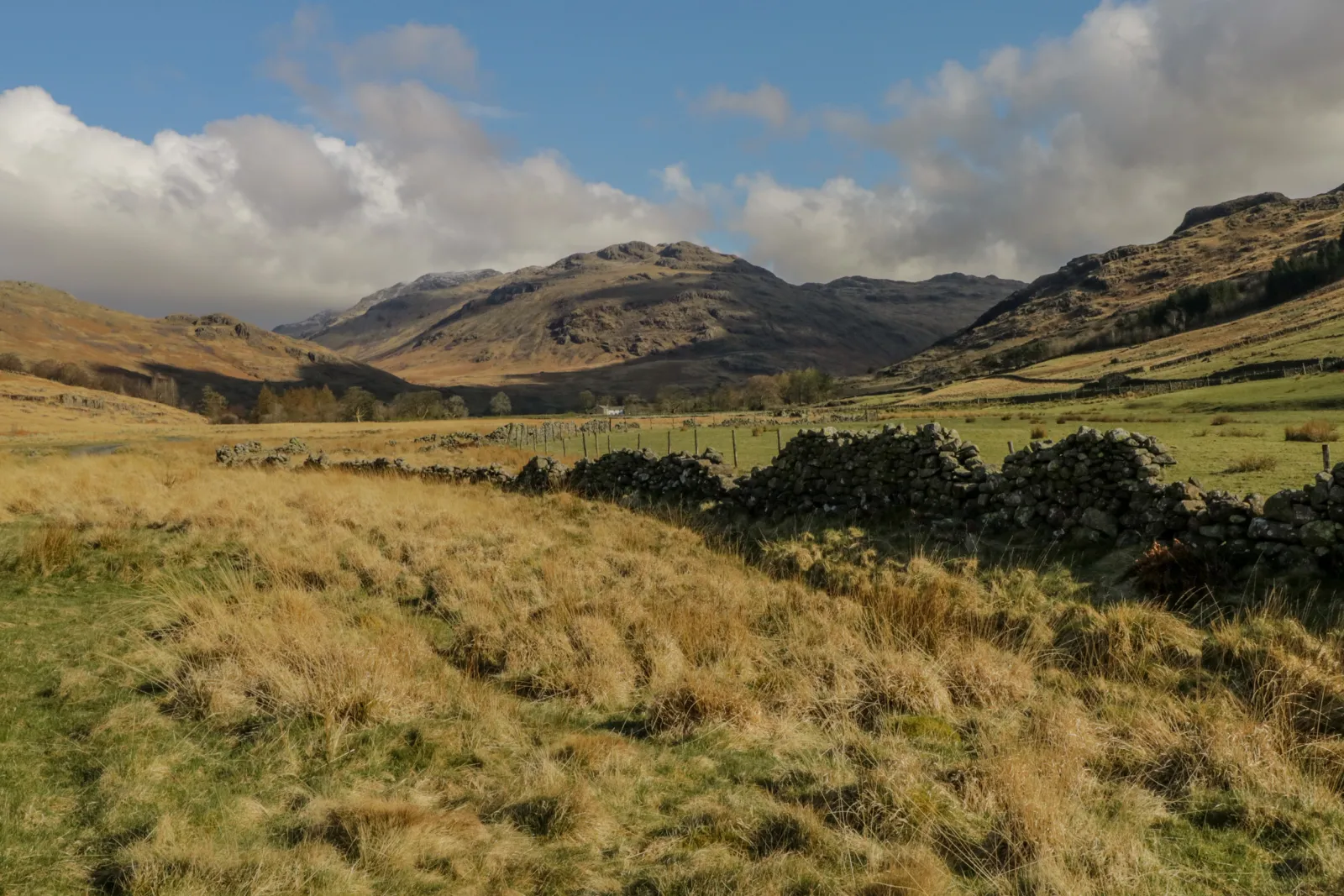 Property image 3 for SC1112371