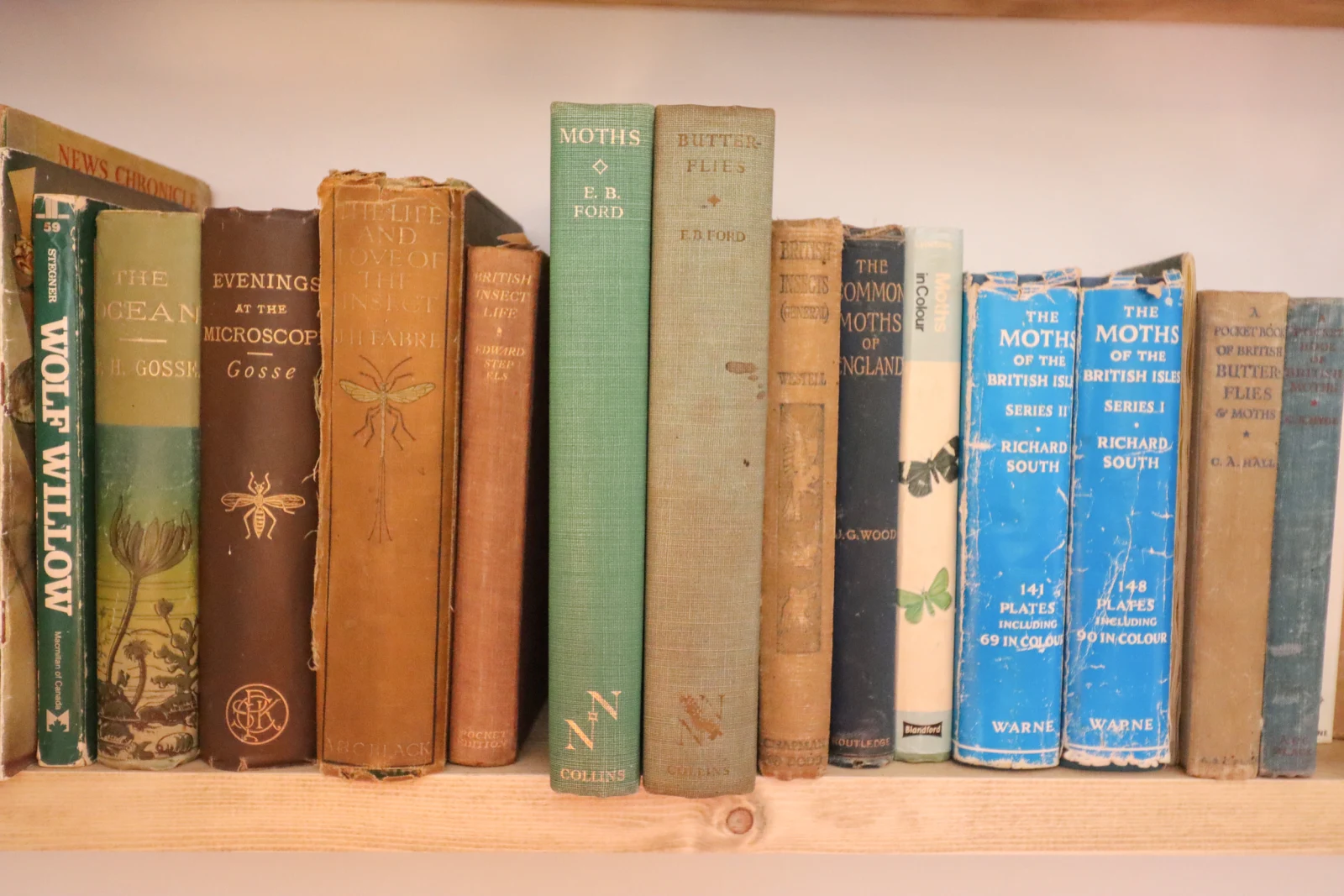 Property image 5 for SC1112649