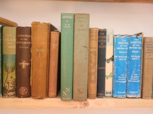 Property image 5 for SC1112649