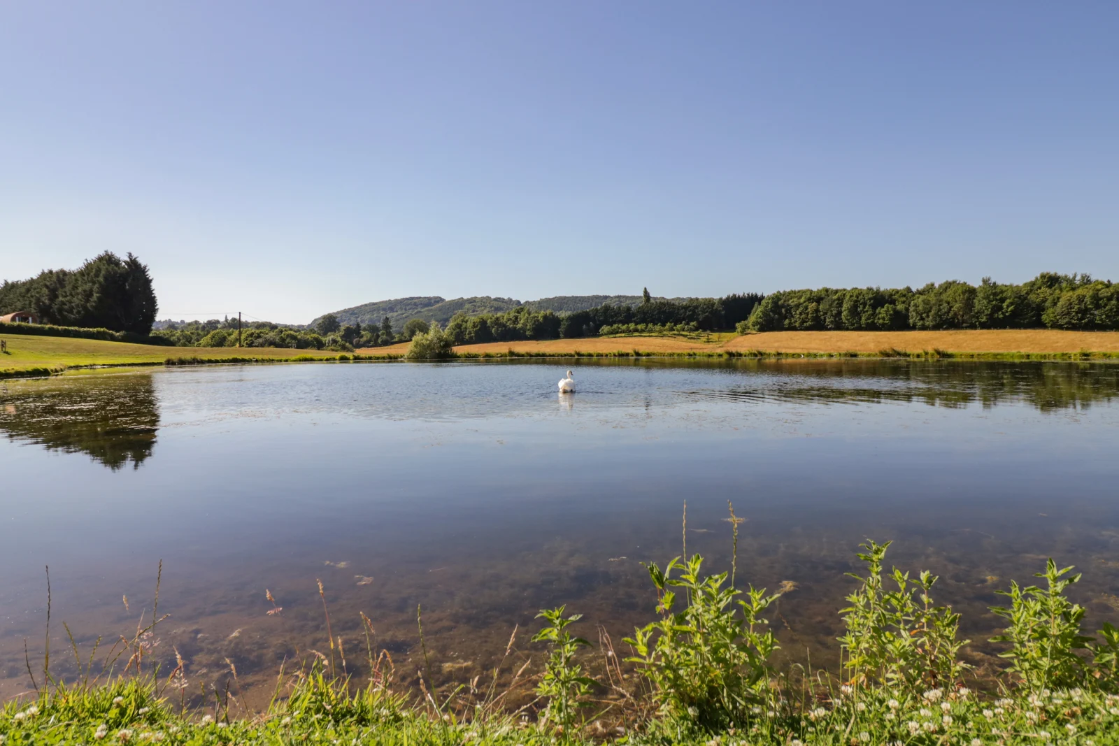 Property image 3 for SC1112904
