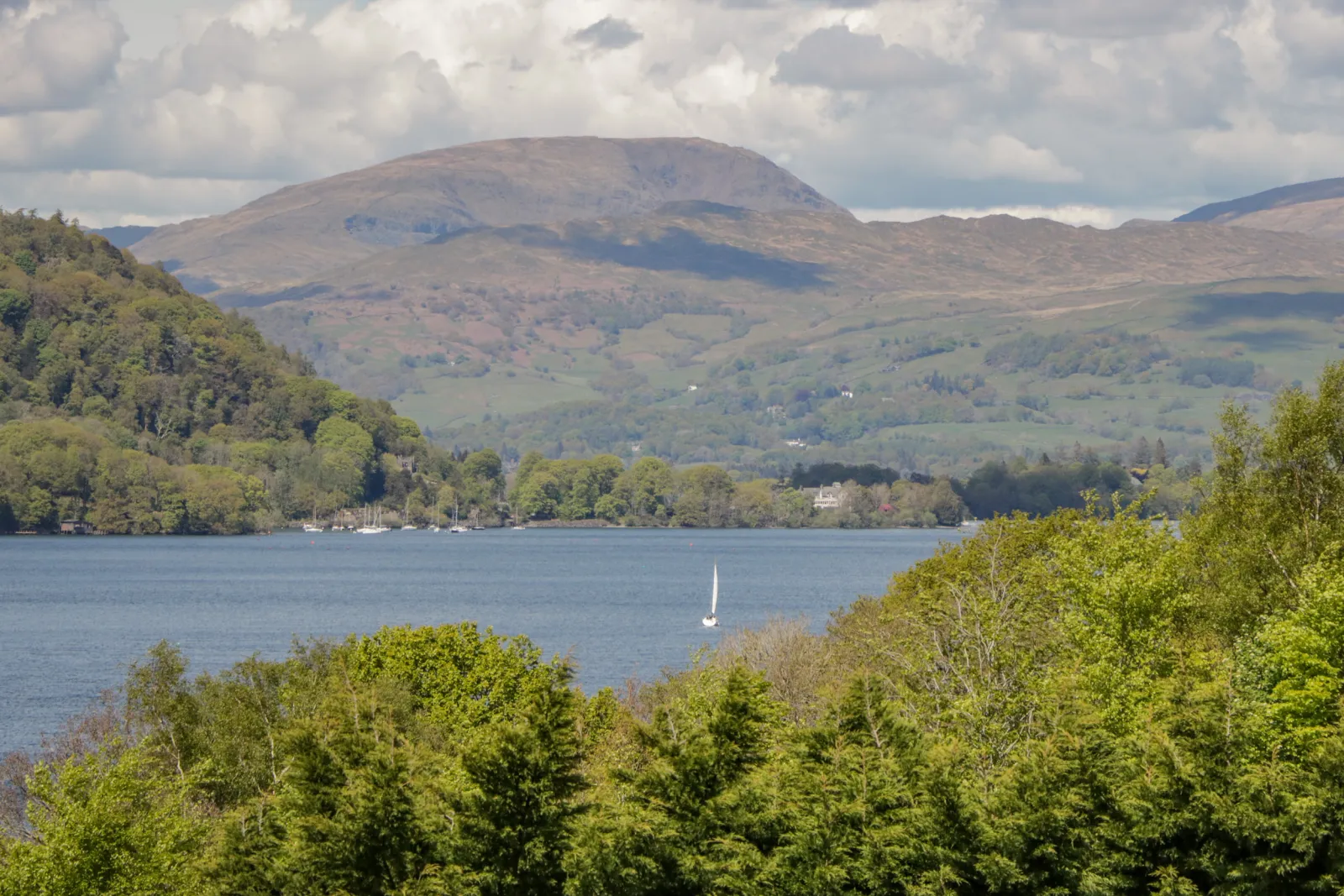 Property image 3 for SC1114469