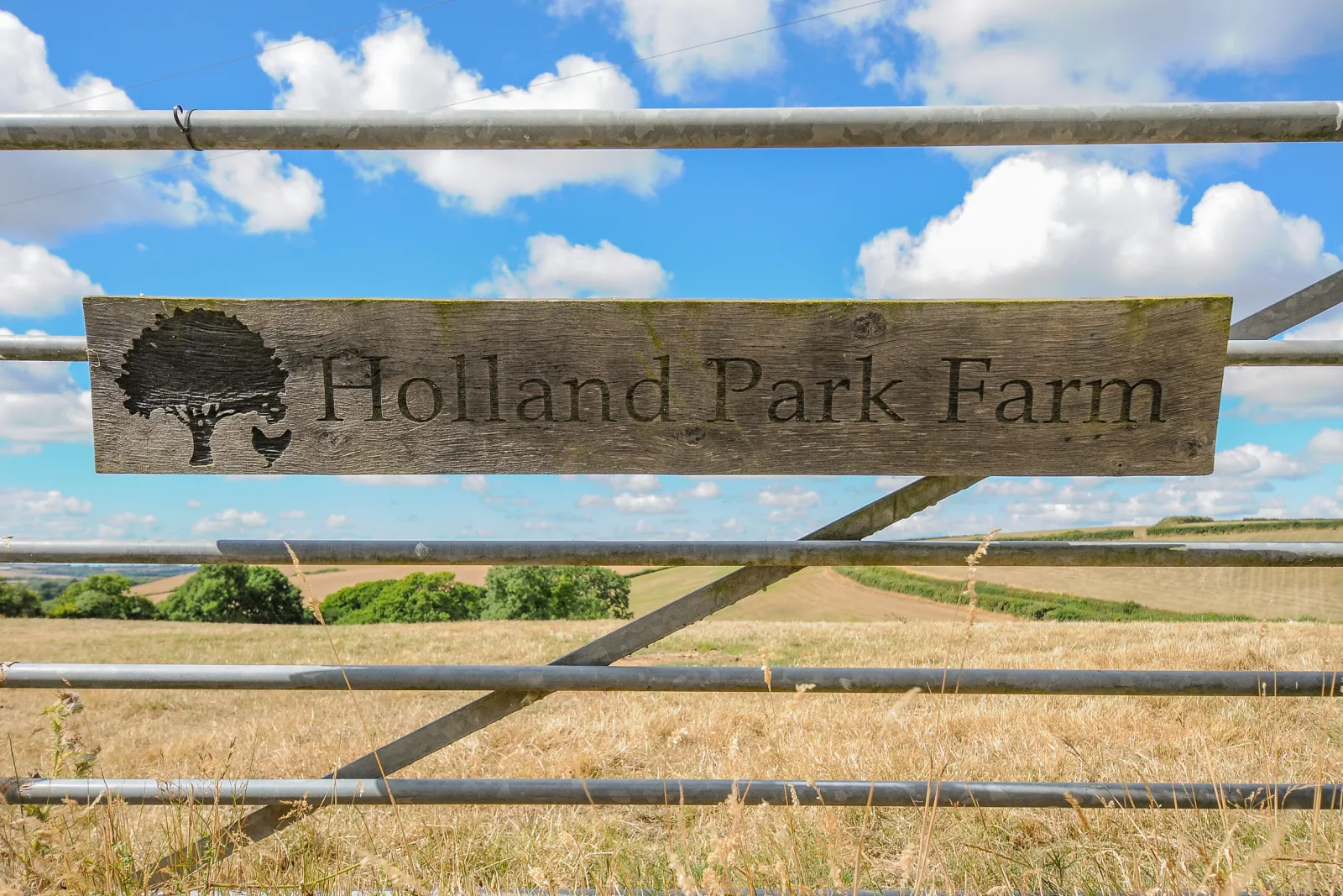 Property image 2 for SC1114649