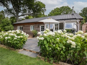 Property image 2 for SC1115307