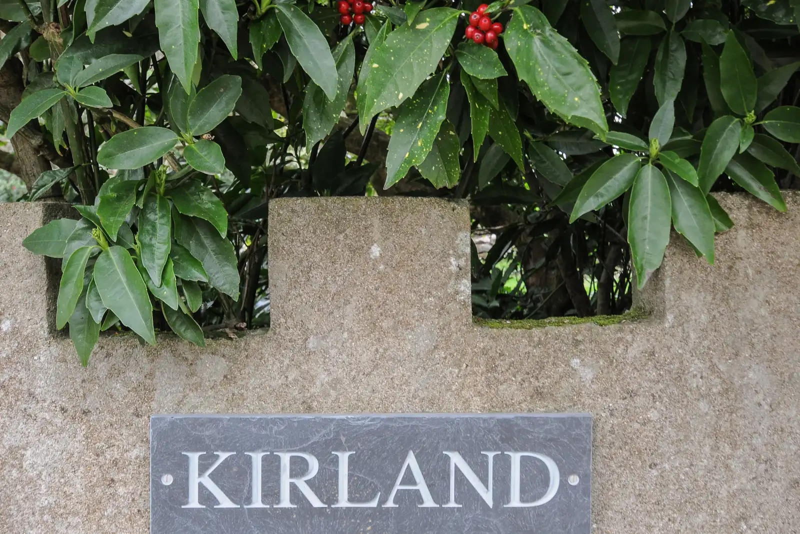 Property image 2 for SC1115372