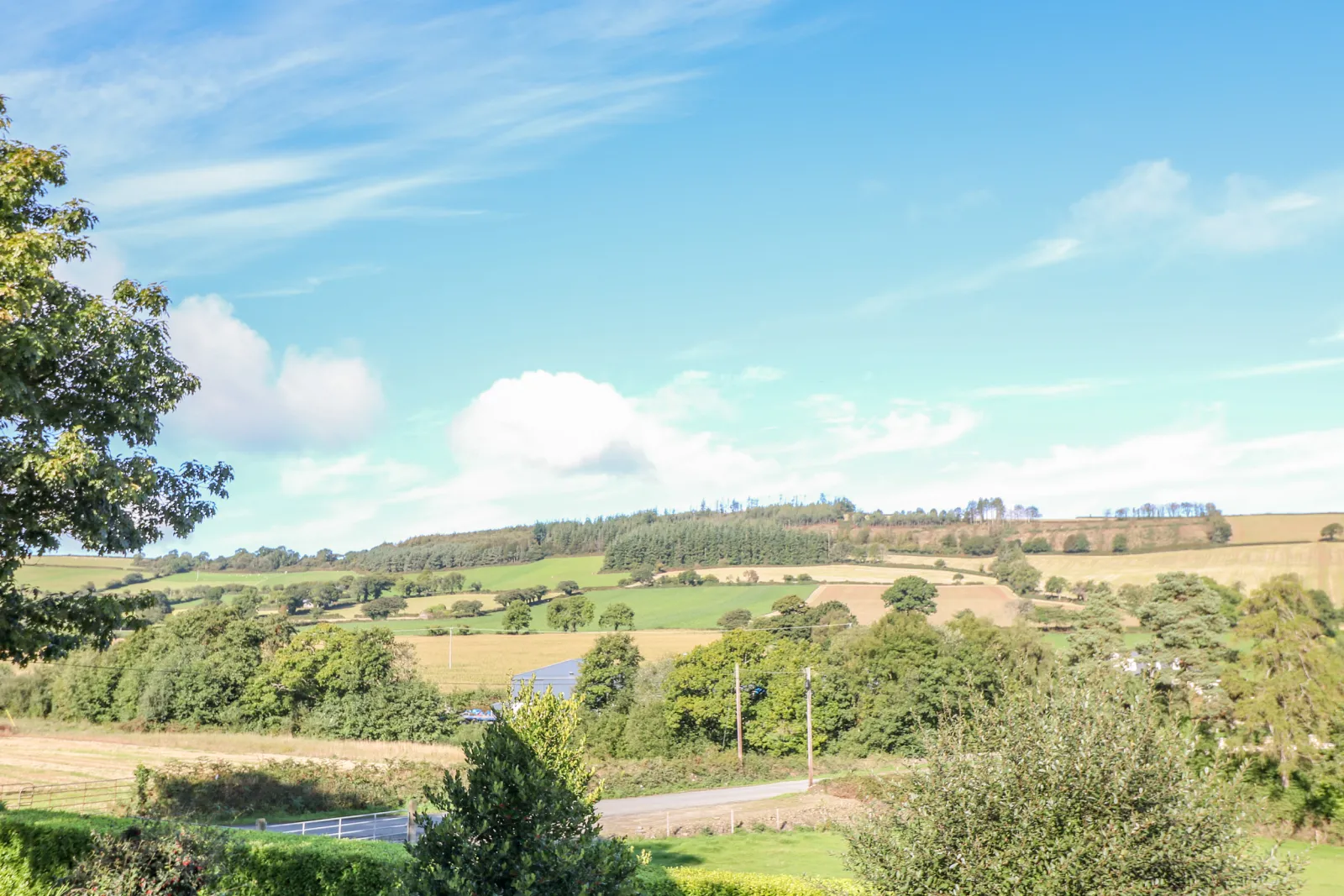 Property image 2 for SC1115890