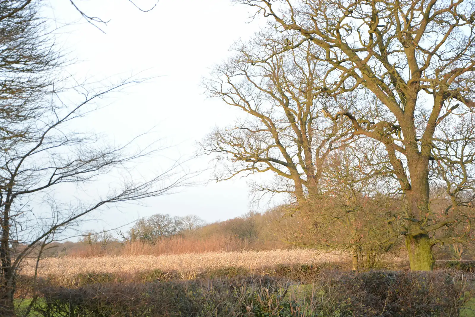 Property image 8 for SC1116805