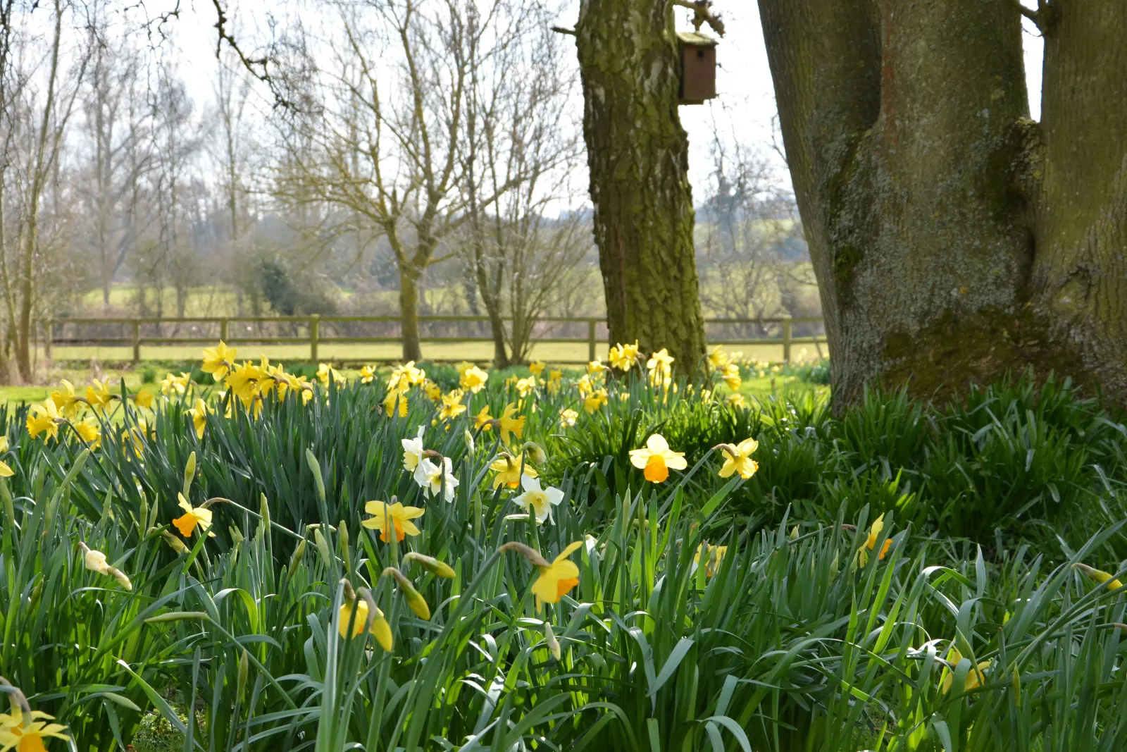 Property image 6 for SC1116875