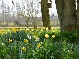 Property image 6 for SC1116875