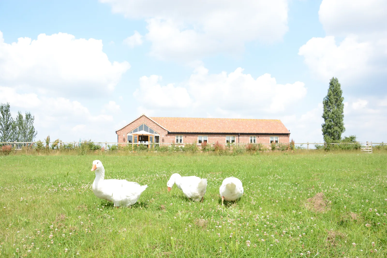 Property image 9 for SC1116912