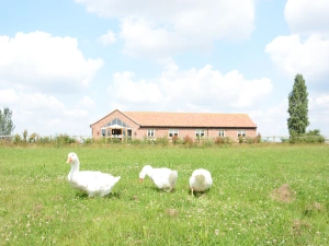Property image 9 for SC1116912