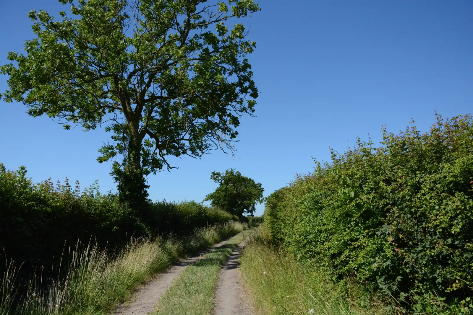 Property image 6 for SC1116980