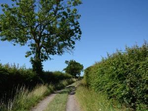 Property image 6 for SC1116980