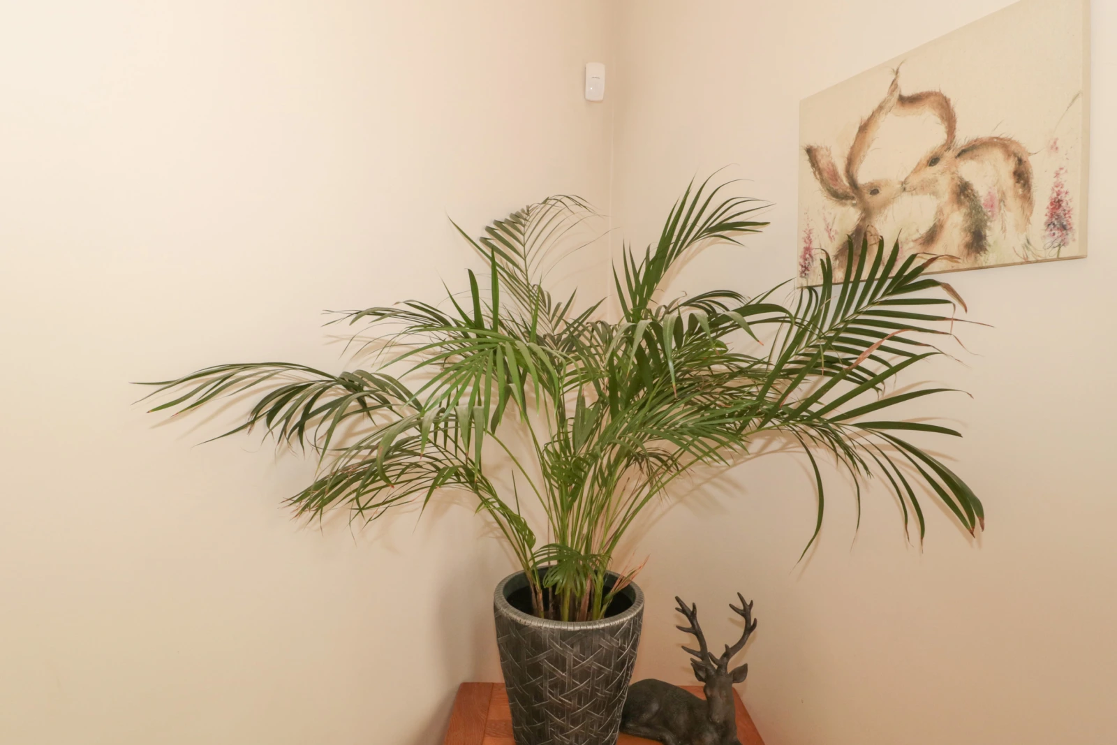 Property image 4 for SC1119272