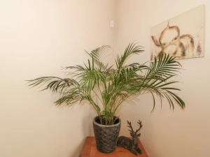 Property image 4 for SC1119272