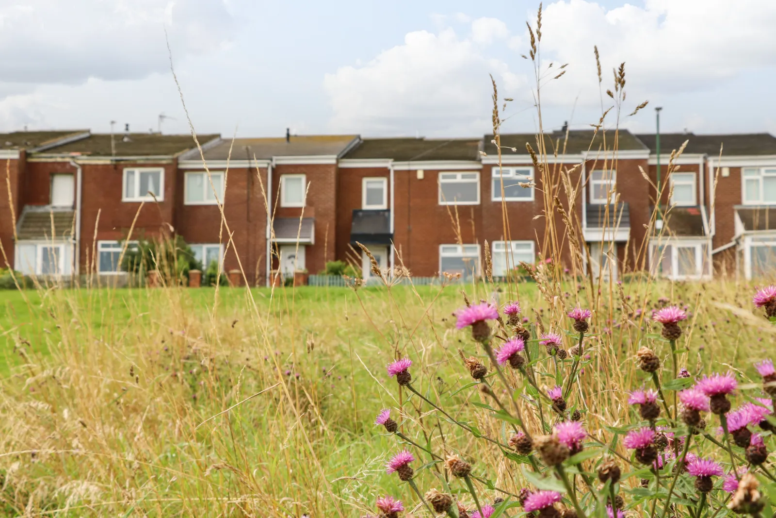 Property image 1 for SC1120362
