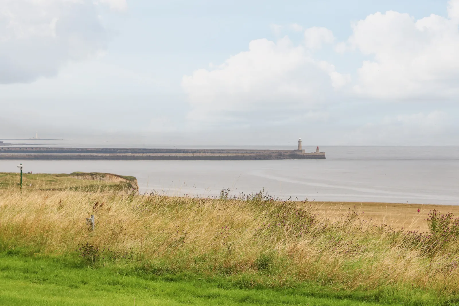 Property image 3 for SC1120362