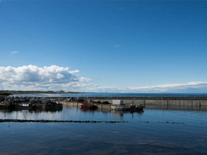 Lobster Lodge