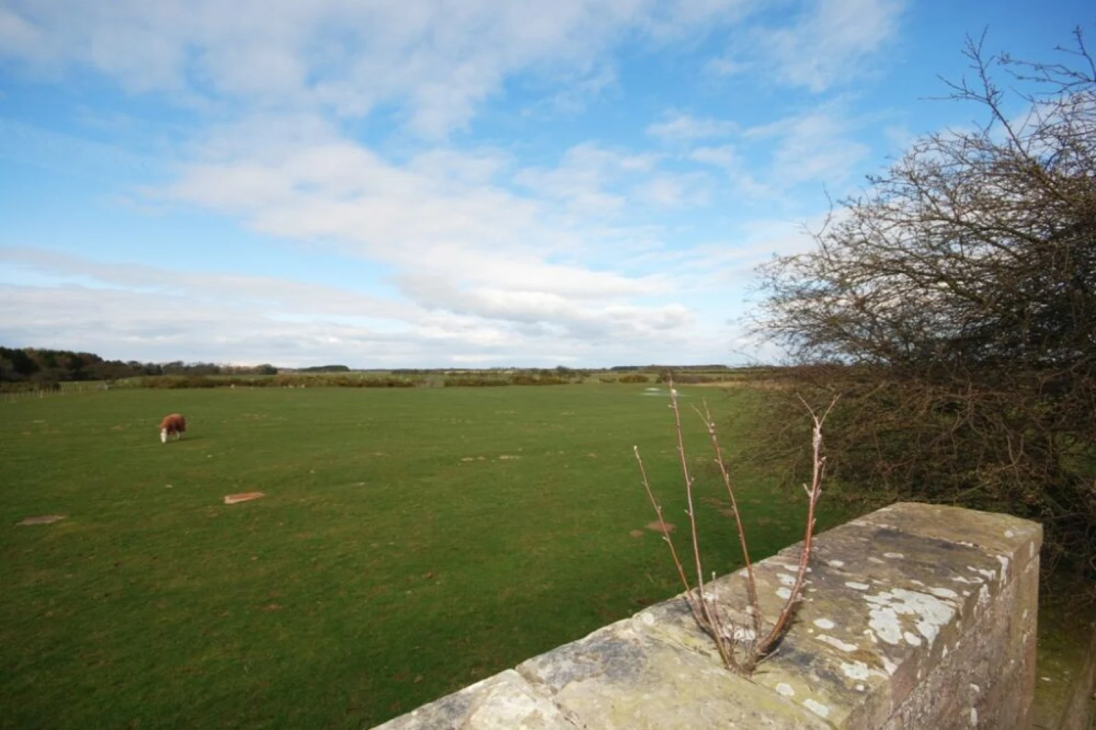 Property image 6 for SC1122085
