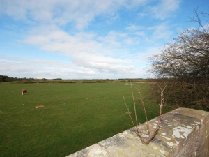 Property image 6 for SC1122085