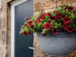 Property image 3 for SC1122116