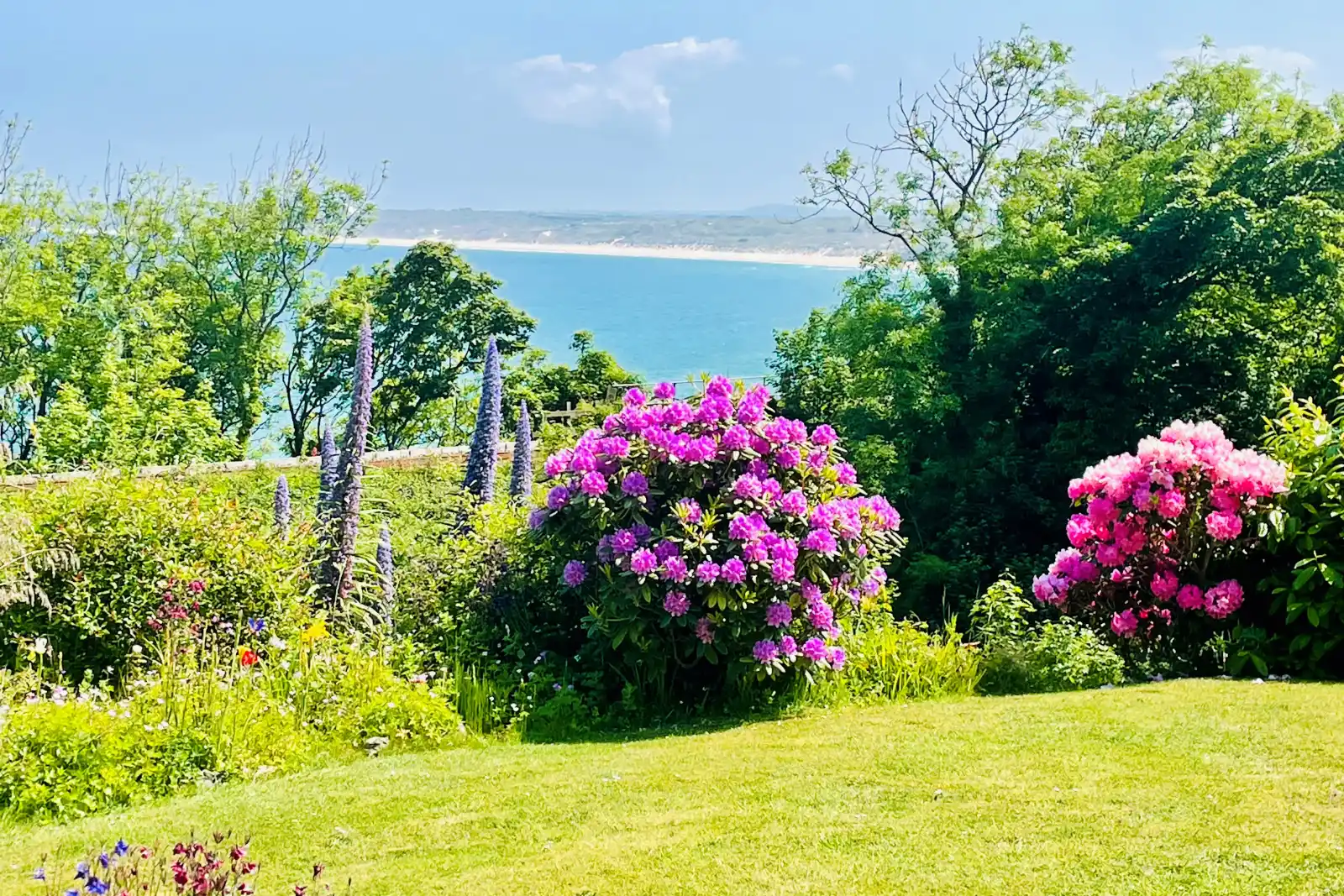 Property image 9 for SC1123049