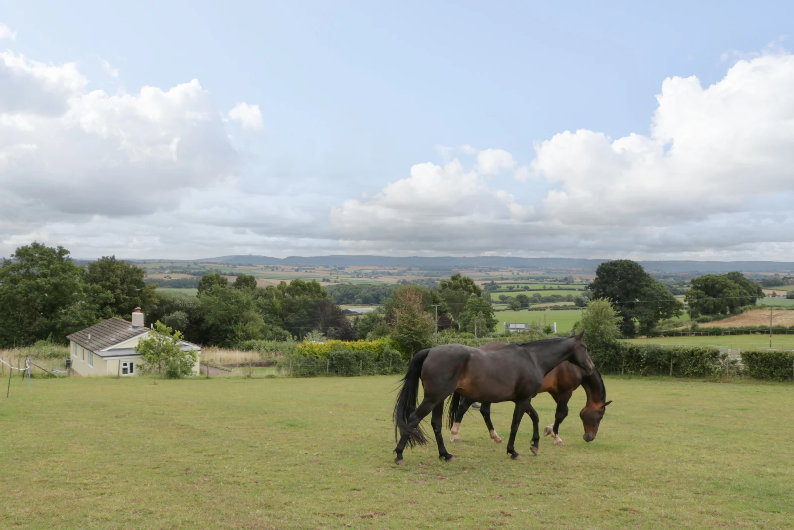 Property image 2 for SC1123808