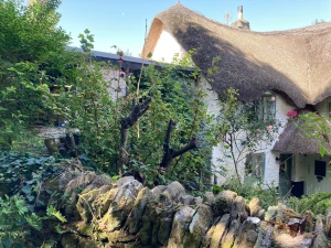 Property image 2 for SC1123859