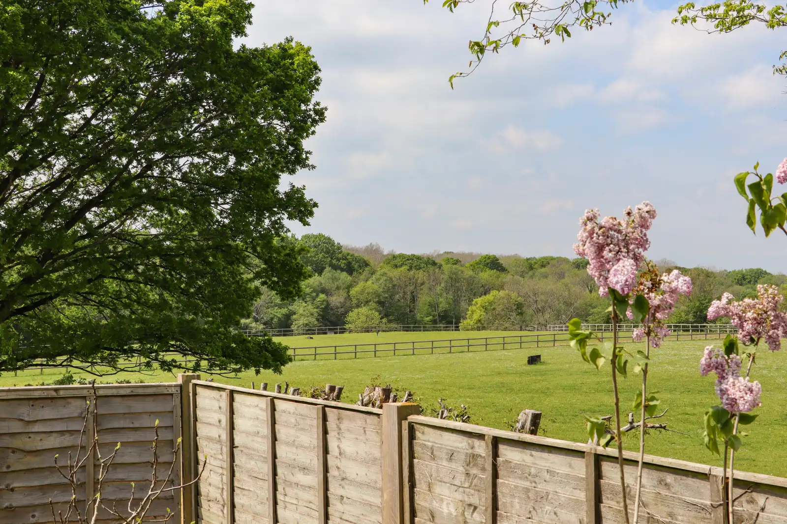 Property image 2 for SC1124113