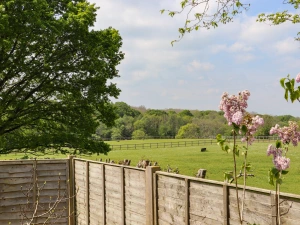 Property image 2 for SC1124113