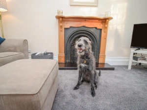 Property image 5 for SC1124456