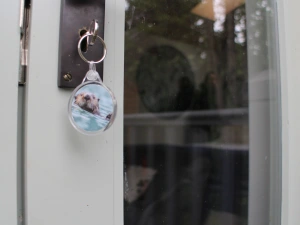 Property image 4 for SC1125236